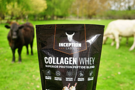 Product Spotlight: Inception Labs Collagen Whey – The Perfect Protein Blend for Health and Performance