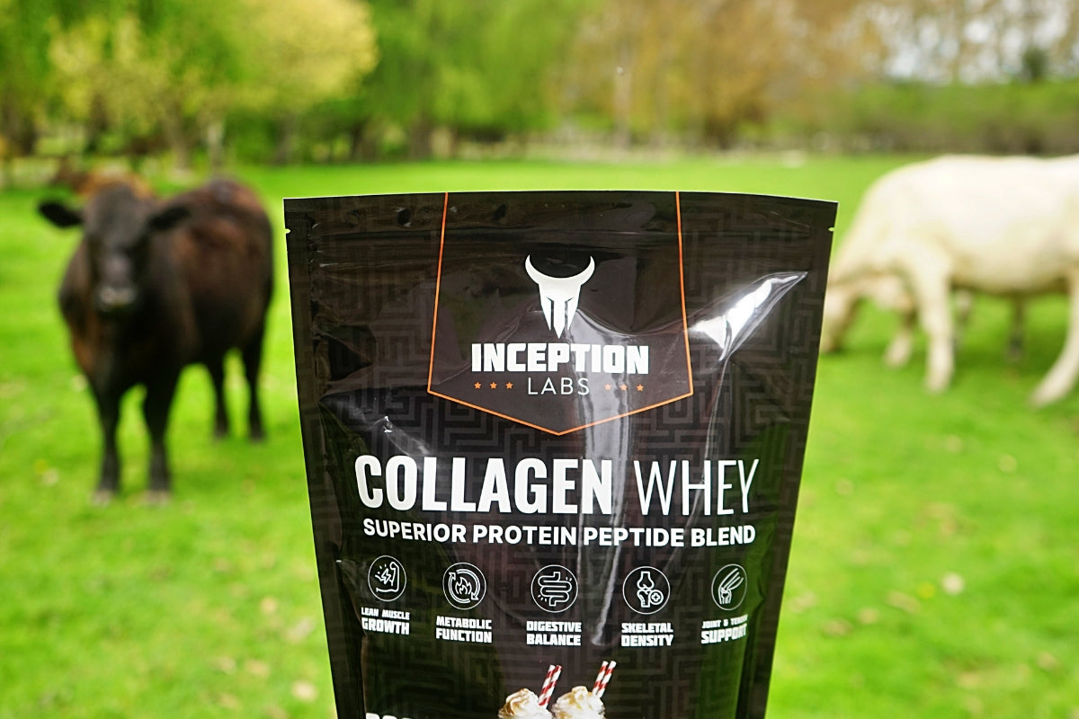 Product Spotlight: Inception Labs Collagen Whey – The Perfect Protein Blend for Health and Performance