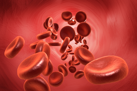 Vasodilation training benefits