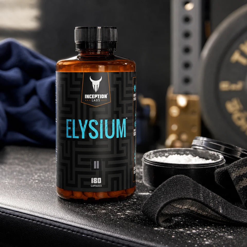 Inception Labs Elysium after training